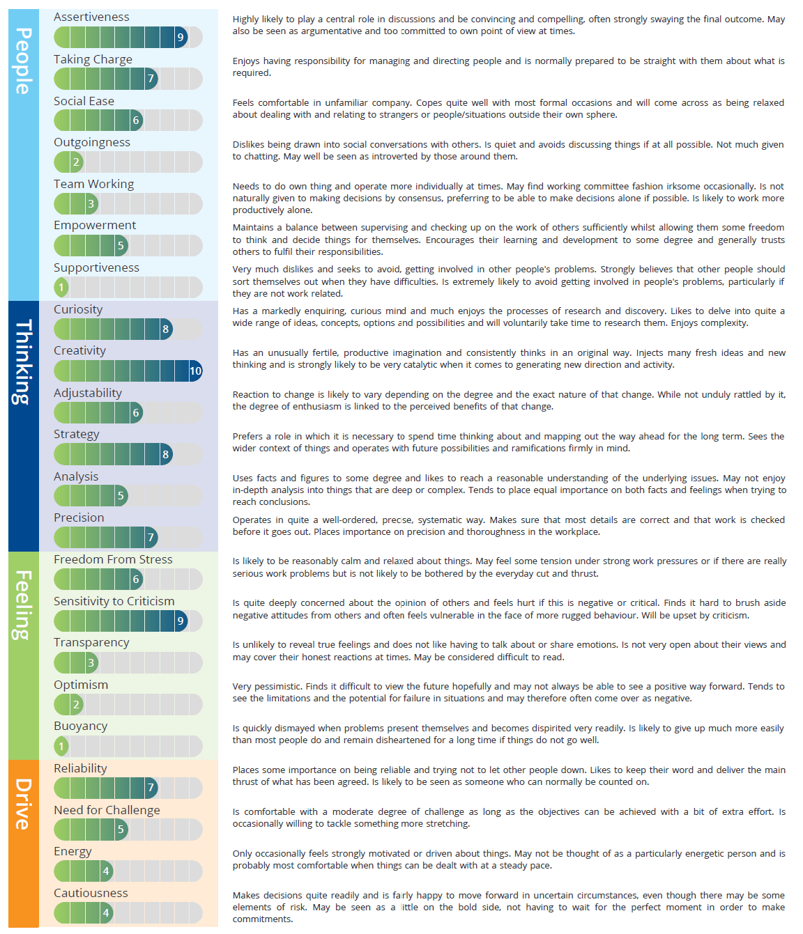 Psychologist Psychometric Test Report